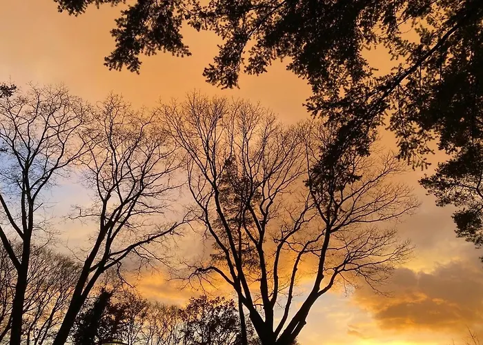 Het Relaxplekje 4 Persoons Prive Hottub * 福尔特赫伊曾