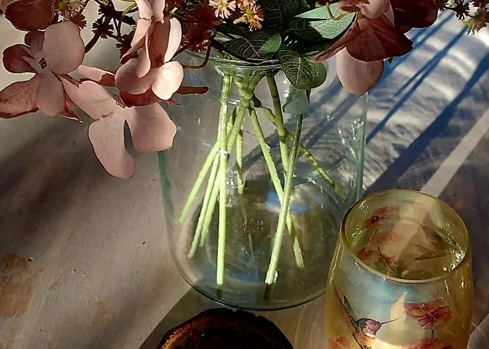 Het Relaxplekje 4 Persoons Prive Hottub *