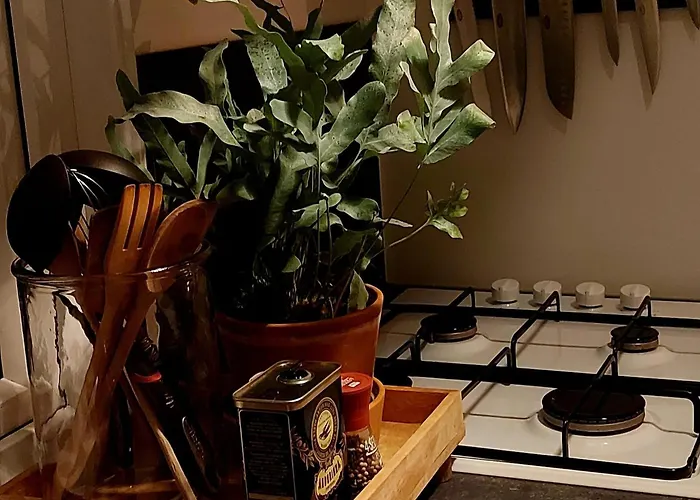 Het Relaxplekje 4 Persoons Prive Hottub 度假居 福尔特赫伊曾