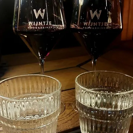 Nyaraló Het Relaxplekje 4 Persoons Prive Hottub Voorthuizen