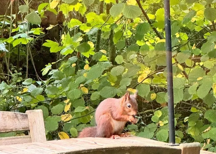 Nyaraló Het Relaxplekje 4 Persoons Prive Hottub